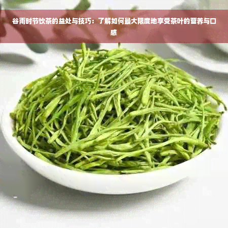 谷雨时节饮茶的益处与技巧：了解如何更大限度地享受茶叶的营养与口感