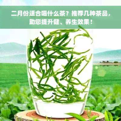 二月份适合喝什么茶？推荐几种茶品，助您提升健、养生效果！