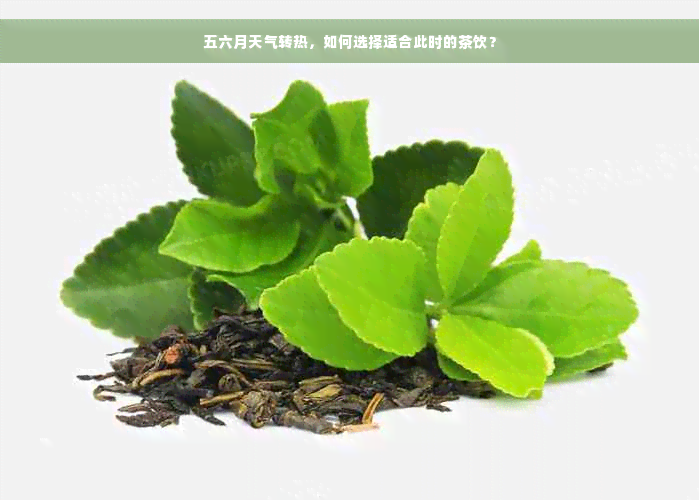 五六月天气转热，如何选择适合此时的茶饮？