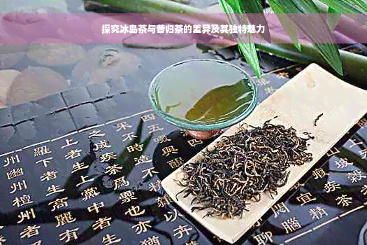 探究冰岛茶与昔归茶的差异及其独特魅力