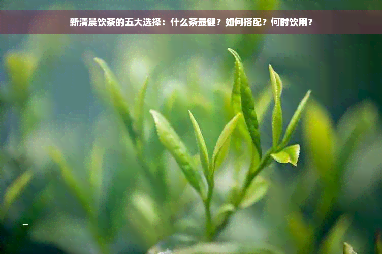 新清晨饮茶的五大选择：什么茶最健？如何搭配？何时饮用？