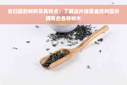 昔归园的树种及其特点：了解这片绿意盎然的园所拥有的各种树木