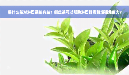 喝什么茶对淋巴系统有益？哪些茶可以帮助淋巴排毒和增强免疫力？