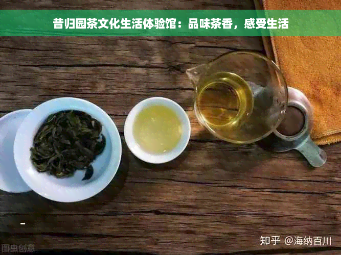 昔归园茶文化生活体验馆：品味茶香，感受生活