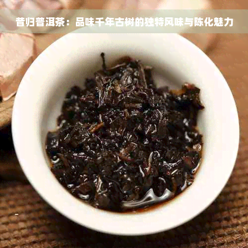 昔归普洱茶：品味千年古树的独特风味与陈化魅力