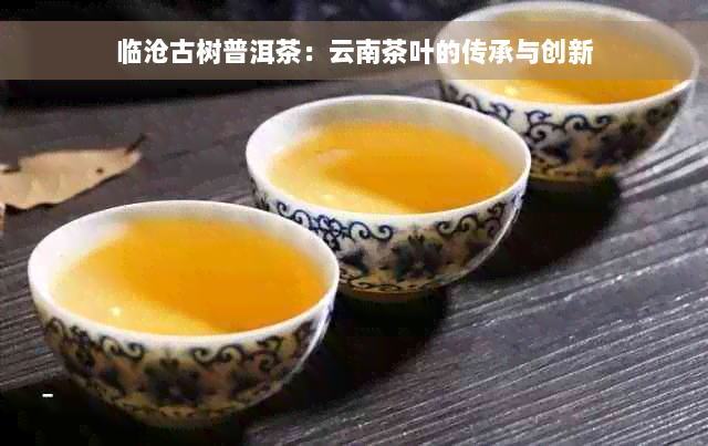 临沧古树普洱茶：云南茶叶的传承与创新