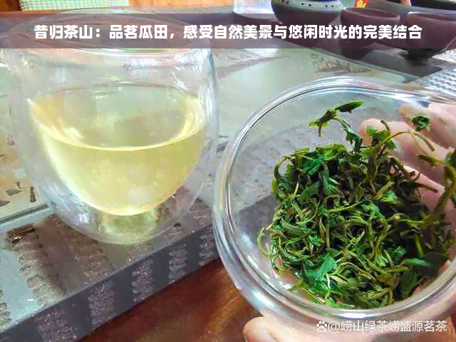 昔归茶山：品茗瓜田，感受自然美景与悠闲时光的完美结合