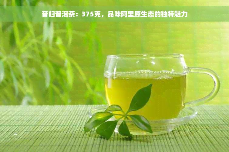 昔归普洱茶：375克，品味阿里原生态的独特魅力