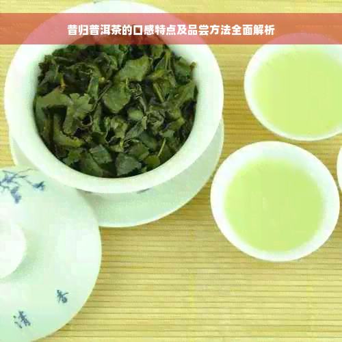 昔归普洱茶的口感特点及品尝方法全面解析