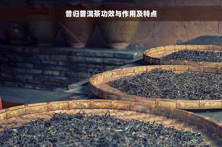 昔归普洱茶功效与作用及特点