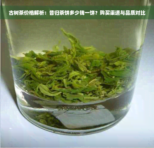 古树茶价格解析：昔归茶饼多少钱一饼？购买渠道与品质对比