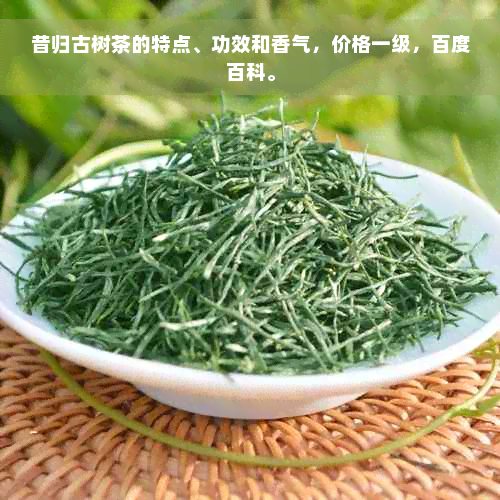 昔归古树茶的特点、功效和香气，价格一级，百度百科。