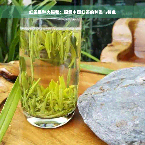 红茶品种大揭秘：探索中国红茶的种类与特色