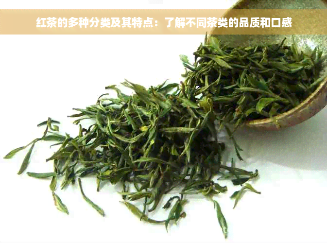 红茶的多种分类及其特点：了解不同茶类的品质和口感