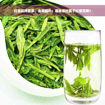 红茶品种繁多，全面解析：哪些茶叶属于红茶范畴？