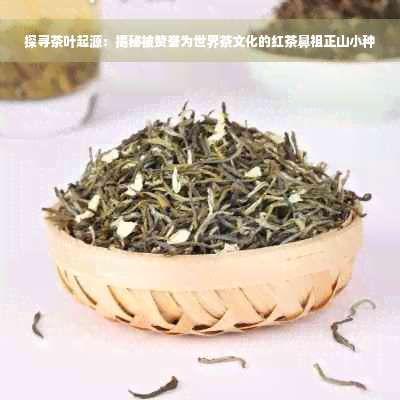 探寻茶叶起源：揭秘被赞誉为世界茶文化的红茶鼻祖正山小种