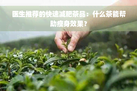 医生推荐的快速减肥茶品：什么茶能帮助瘦身效果？