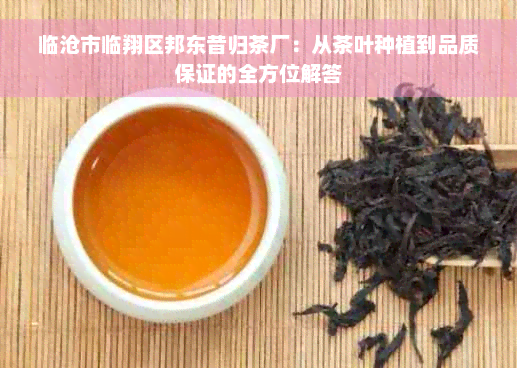 临沧市临翔区邦东昔归茶厂：从茶叶种植到品质保证的全方位解答