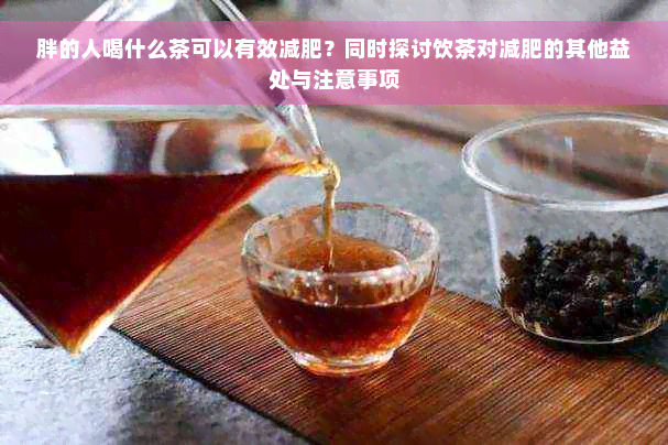 胖的人喝什么茶可以有效减肥？同时探讨饮茶对减肥的其他益处与注意事项