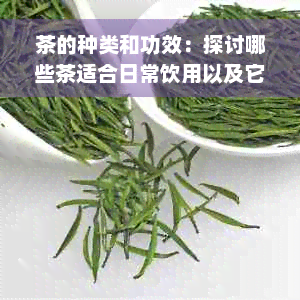 茶的种类和功效：探讨哪些茶适合日常饮用以及它们可能带来的健益处