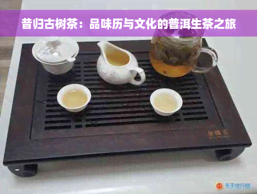 昔归古树茶：品味历与文化的普洱生茶之旅