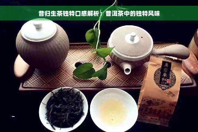 昔归生茶独特口感解析：普洱茶中的独特风味