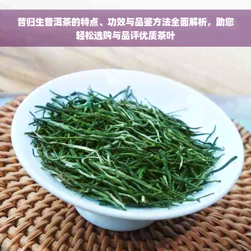 昔归生普洱茶的特点、功效与品鉴方法全面解析，助您轻松选购与品评优质茶叶