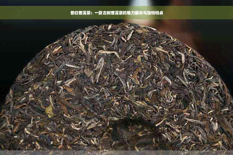 昔归普洱茶：一款古树普洱茶的魅力解析与独特特点