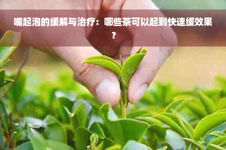 嘴起泡的缓解与治疗：哪些茶可以起到快速缓效果？