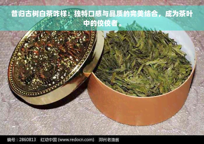 昔归古树白茶咋样：独特口感与品质的完美结合，成为茶叶中的佼佼者。