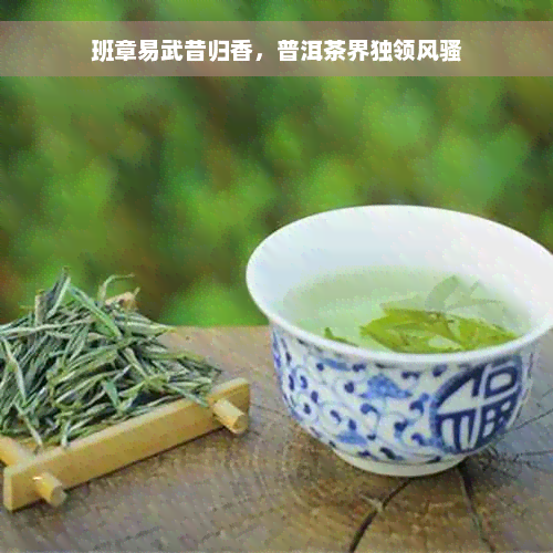 班章易武昔归香，普洱茶界独领 *** 