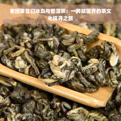 老班章昔归冰岛与普洱茶：一跨越国界的茶文化探寻之旅