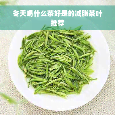 冬天喝什么茶好是的减脂茶叶推荐