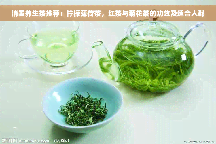 消暑养生茶推荐：柠檬薄荷茶，红茶与菊花茶的功效及适合人群