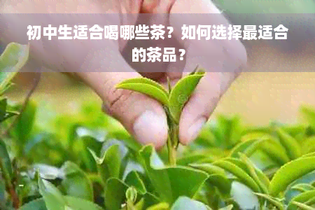 初中生适合喝哪些茶？如何选择最适合的茶品？