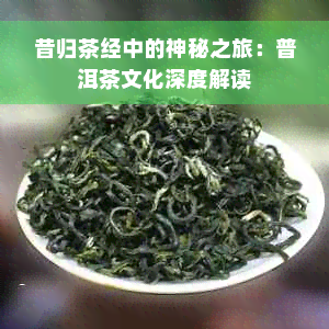 昔归茶经中的神秘之旅：普洱茶文化深度解读