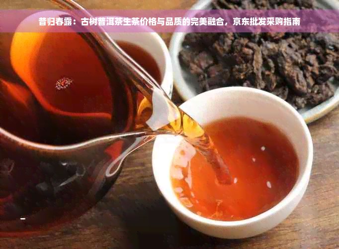 昔归春露：古树普洱茶生茶价格与品质的完美融合，京东批发采购指南