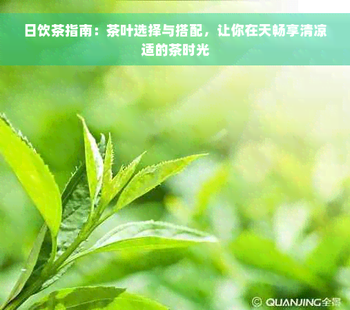 日饮茶指南：茶叶选择与搭配，让你在天畅享清凉适的茶时光