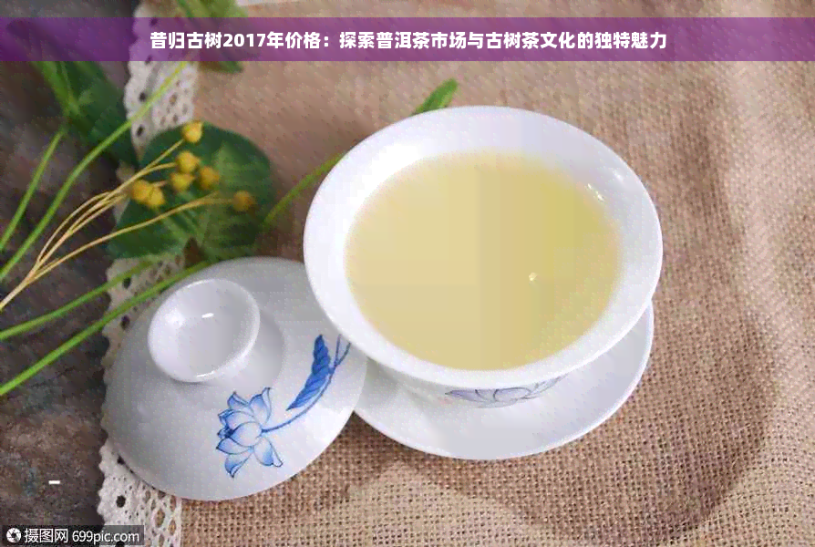 昔归古树2017年价格：探索普洱茶市场与古树茶文化的独特魅力