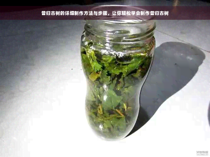 昔归古树的详细制作方法与步骤，让你轻松学会制作昔归古树