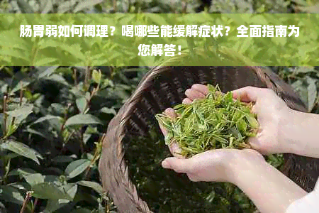 肠胃弱如何调理？喝哪些能缓解症状？全面指南为您解答！