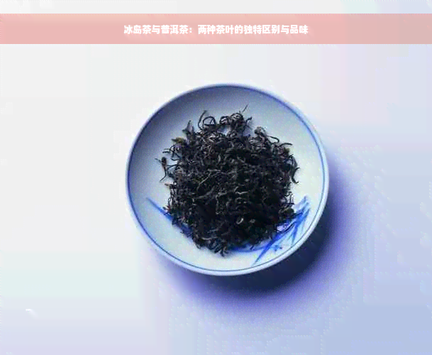 冰岛茶与普洱茶：两种茶叶的独特区别与品味