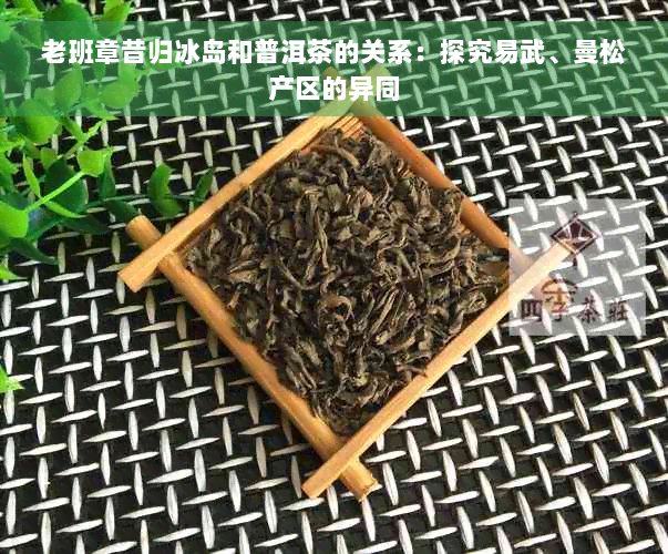 老班章昔归冰岛和普洱茶的关系：探究易武、曼松产区的异同