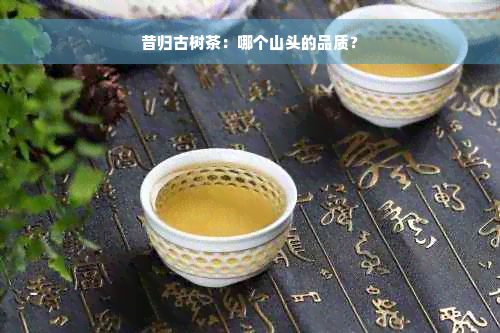 昔归古树茶：哪个山头的品质？