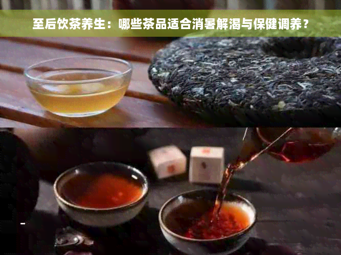 至后饮茶养生：哪些茶品适合消暑解渴与保健调养？