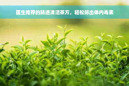 医生推荐的肠道清洁茶方，轻松排出体内毒素