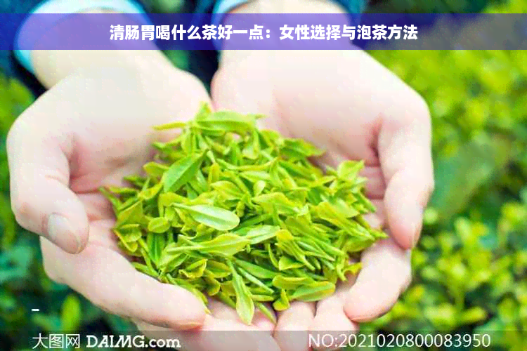 清肠胃喝什么茶好一点：女性选择与泡茶方法