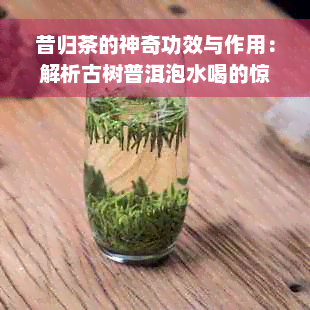 昔归茶的神奇功效与作用：解析古树普洱泡水喝的惊人效果