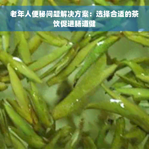 老年人便秘问题解决方案：选择合适的茶饮促进肠道健