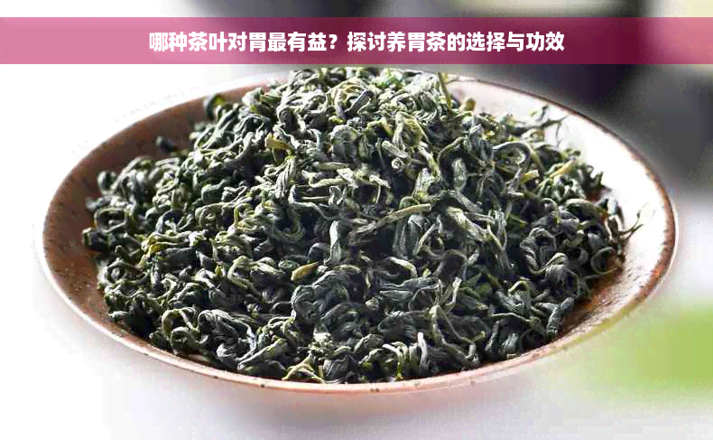 哪种茶叶对胃最有益？探讨养胃茶的选择与功效